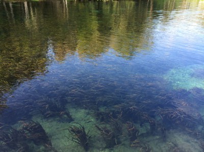 silversprings3