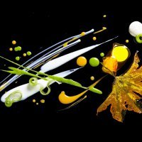 alinea-culinary-masterpiece