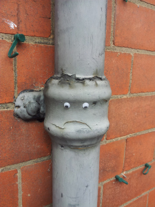 Some days I feel a bit like this.