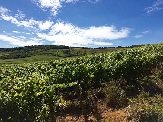 Not Champagne, not Bordeaux, but Burgundy.
