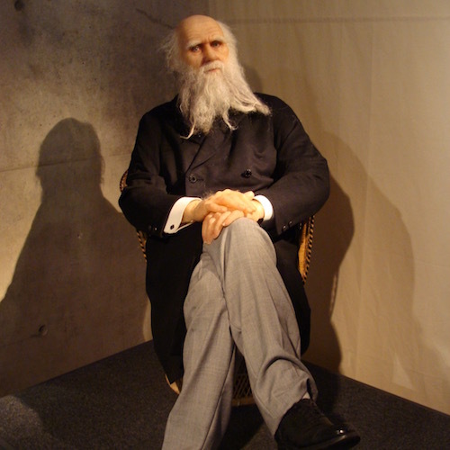 Darwin_cosmocaixa.jpg
