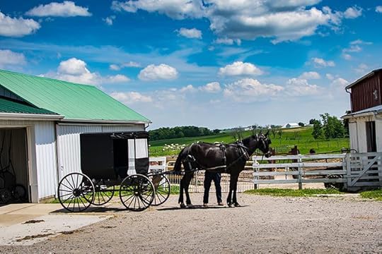  How The Amish Celebrate Thanksgiving