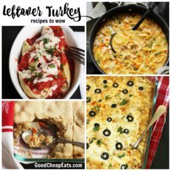 Leftover Turkey Recipes to Wow You