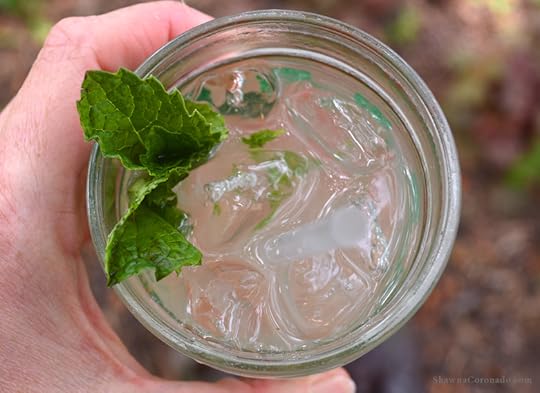 Southside Cocktail Charles Joly 