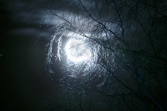 Moon tangle with twigs 3.jpg