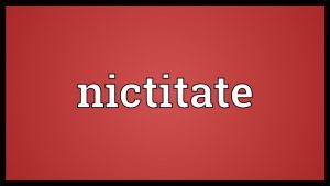 Nicitate banner