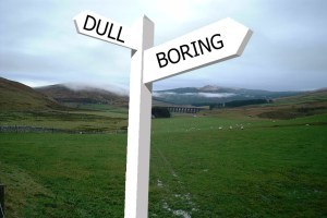 Crossroads between dull and boring