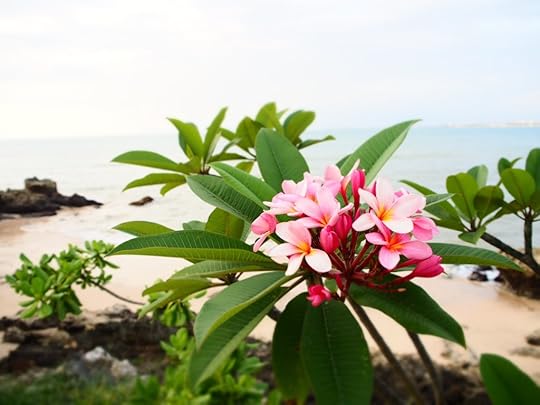 four-seasons-jimbaran-bay-nikki-sharp