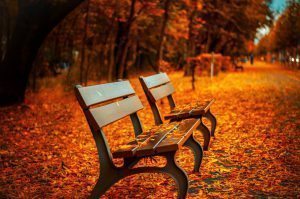 how-to-show-gratitude-during-the-holidays