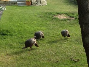 img_0436