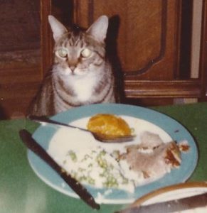 Our family cat, Mary Jane, joins the holiday table in 1981.
