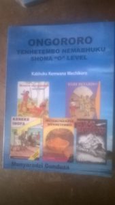 Munyaradzi Gunduza