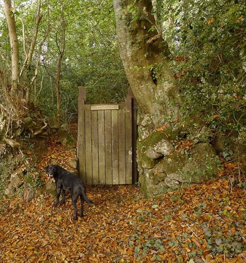 Woodland Gate
