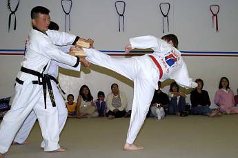 taekwondo1