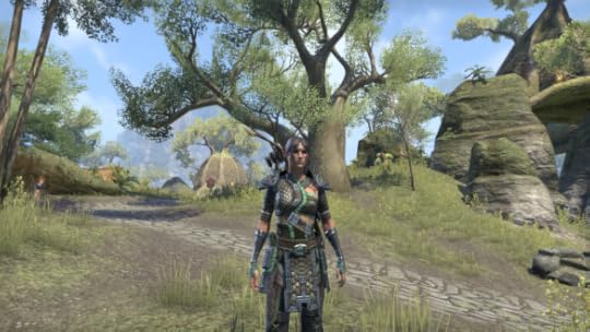 The original appearance of my Bosmer sorcerer in Elder Scrolls Online.
