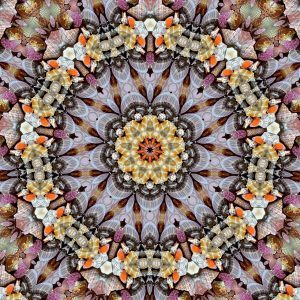 kaleidoscope_mandala-1248169_1280