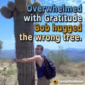 gratitude
