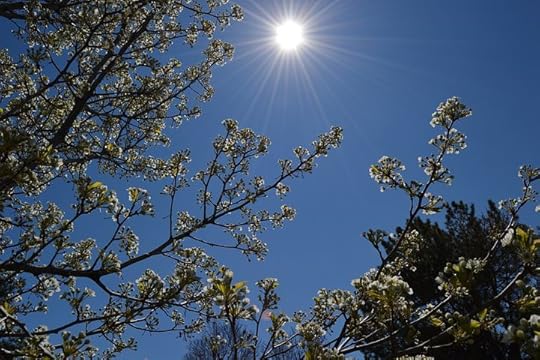 spring-1409373__480
