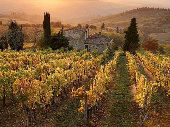  photo B70C5369-2E84-41C8-B696-33AFF5422DA7_zpsjyjn9w9i.jpg