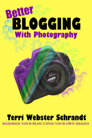 Better Blogging by Terri Schrandt