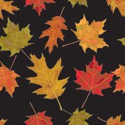 Fall leaves
