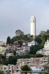 Coit