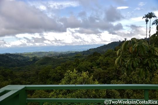 Canopy tower at Wilson Botanical Garden