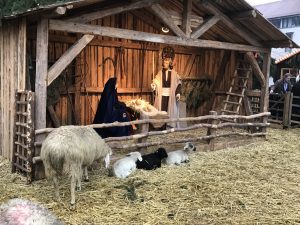 img_8560