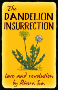 dandelionfrontcov