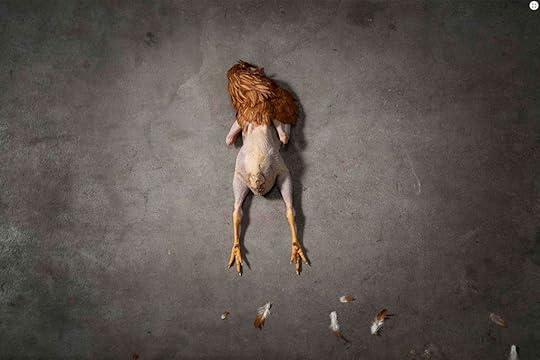 screen-shot-2016-11-18-at-10-50-20