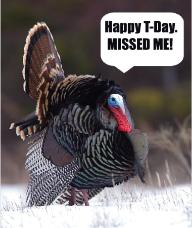 caption-replacable-02-turkey