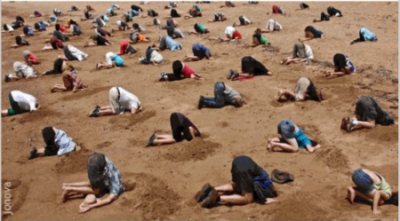 head-in-sand