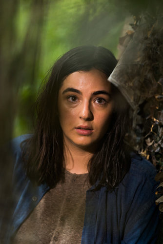 the-walking-dead