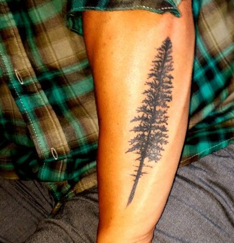 evergreen tattoo: 