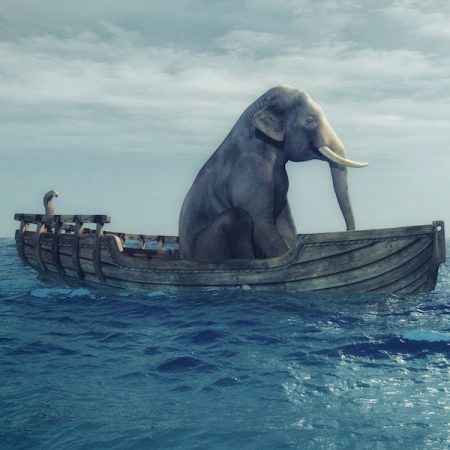 Elephant sitting in a boat by sea. This is a 3d render illustration