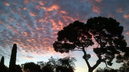 wp_20160920_07_09_19_pro