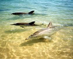 www-potolkimaker-com