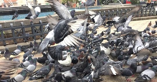 Scramble for the food
