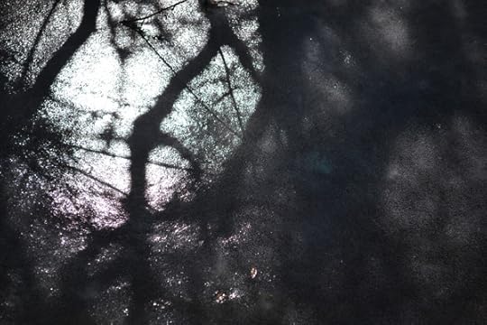 icy-shadows-01
