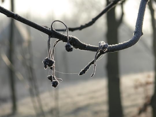 photos-jan-to-mar-2012-006