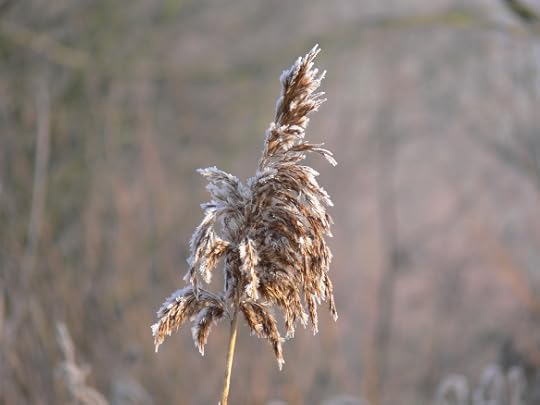 photos-jan-to-mar-2012-026