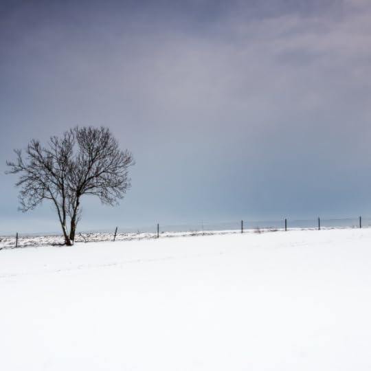 Winter is Coming