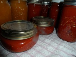 canned tomato sauce