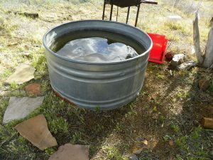 homestead swimming pool
