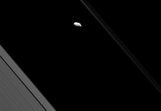 Saturn's moon Prometheus and part of the ring system, NASA/JPL