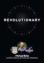 Xmas Revolutionary.jpeg