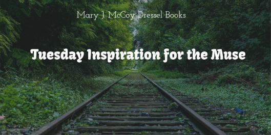 Mary J McCoy-Dressel Books