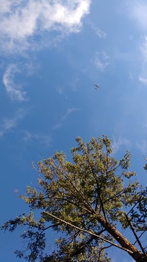 img_20161128_092329193