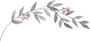 branch-holly-border