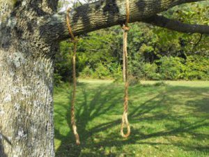 hanging-baby-swing-from-tree-limb-1